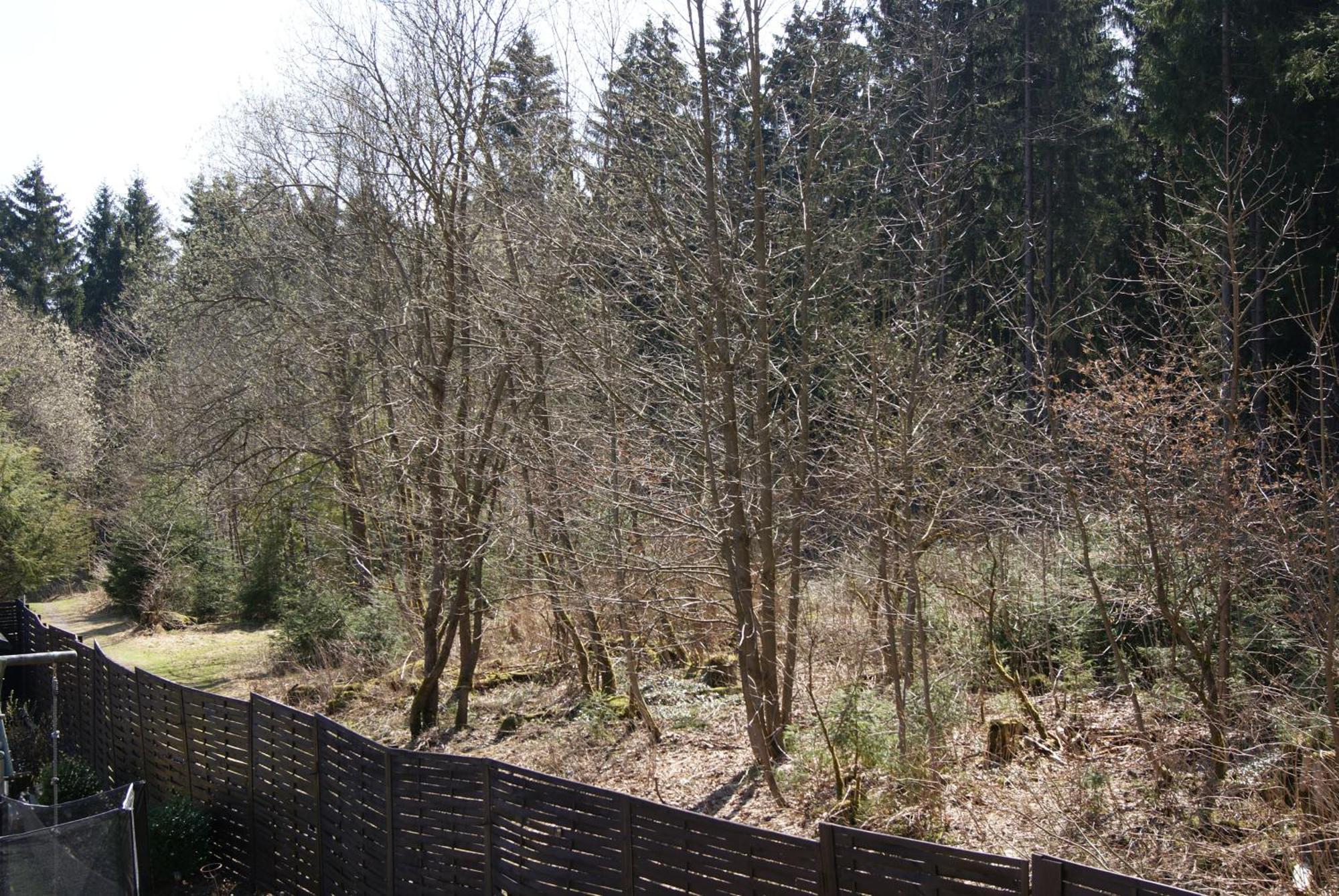 Ferienwohnung Schmidt Braunlage Pokój zdjęcie